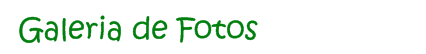GALERIA DE FOTOS